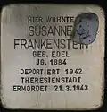 Stolperstein für Susanne Frankenstein (Kaiser-Wilhelm-Ring 24)