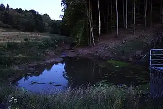 Überlaufbereich in der Nähe des Freibads