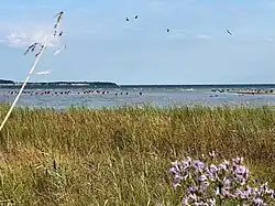 Blick von der Wohlenberger Wiek auf die Weiße Wiek