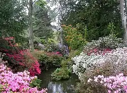 Bodnant Garden