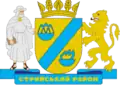 Wappen von Rajon Stryj