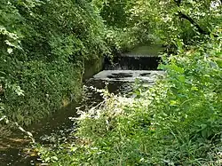 Stufe des Schüttelgraben