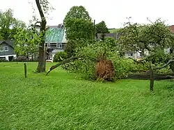 Sturmschäden am 20. Mai 2006 in Peppinghausen