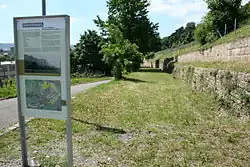 Alte Trasse der Industriebahn entlang der Weinberge, Mai 2010