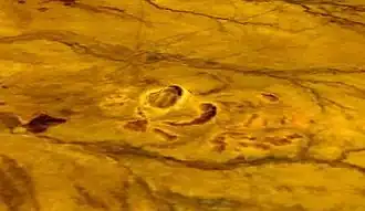 Der Berg Qeili ist das Objekt, das mit einem gelben Rand umgeben ist. Die halbrunde Erhebung daneben stellt einen Überrest des ehemaligen Vulkankegels dar. Zusammen mit den restlichen Erhebungen in der Nähe bildet dies den Qeili-Vulkan-Komplex.