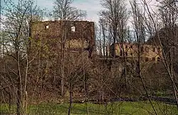 Burg Schwerta, Niederschlesien