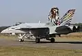 Fl St 11 F/A-18C J-5011 Tigers