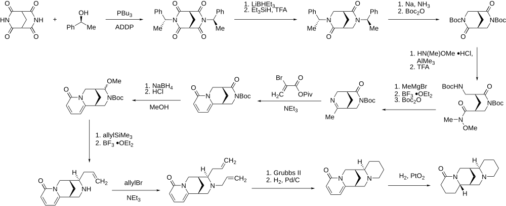 Reaktionsschema für die enantioselektive Darstellung von (−)-Lupanin.svg