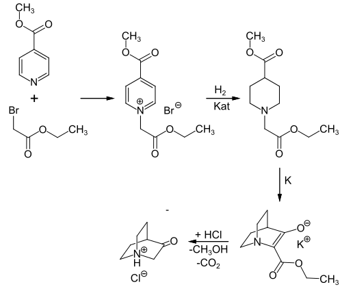 Synthese Chinuclidinonhydrochlorid