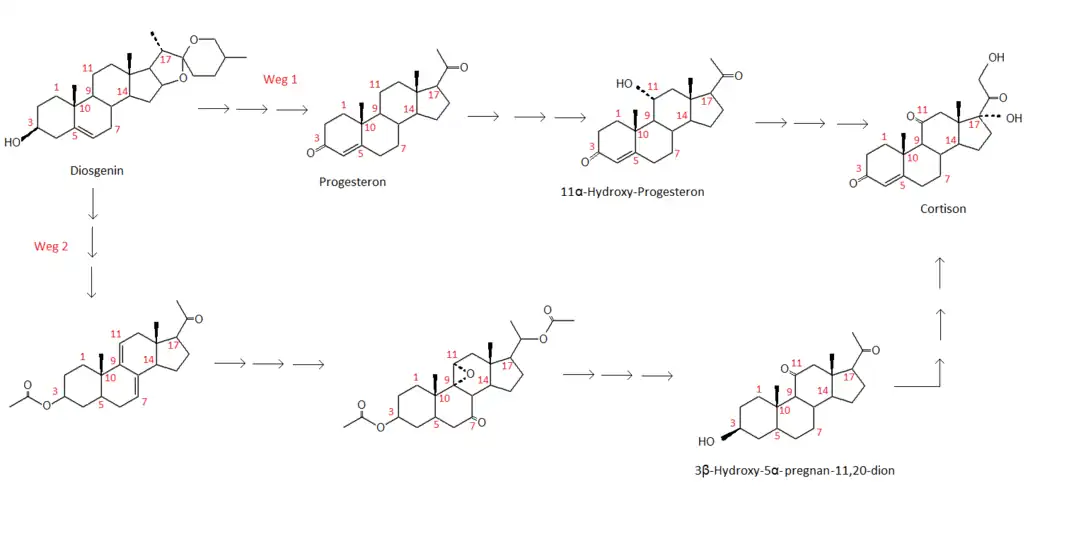 Die Abbildung stellt zwei unterschiedliche Synthesewege von Cortison ausgehend von Diosgenin dar.