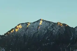 Tälispitze vom Rheintal