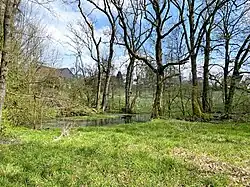 Quellteich Bergisch Born Oberstraße