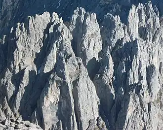 Nördlicher Teil der Törlspitzen von Osten: Nördliche Törlspitze (links), Bauernpredigtstuhl (vorne links), Goinger Turm (mittig), Goinger Törlspitze (rechts daneben), Westliches Törleck (rechts), Östliches Törleck (ganz rechts)