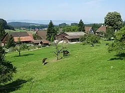 Tüfenbach und Vollenweid (Hintergrund)