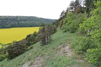 Blick vom südöstlichen Hang des Hunsenbergs in das Gewann Hain
