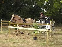 Labyrinth mit losen Bällen