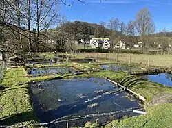 Teiche in Sülze – im Hintergrund: Eichhof