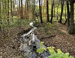 Herbst am Tenter Bach