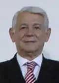 Teodor Meleșcanu Unabhängiger Kandidat