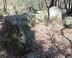 Tertre tumulaire de la Bézardière