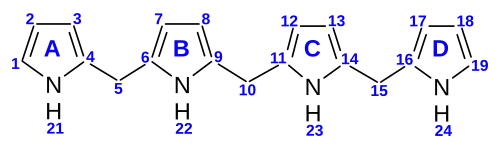 Nummerierung der Tetrapyrrole
