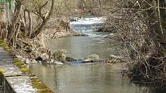 In Thüngen bei der Riedmühle