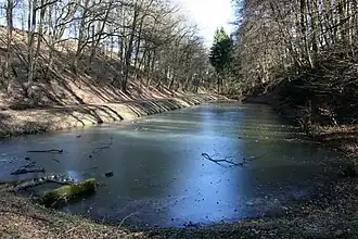 Fischweiher im Winter