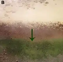 Gleicher Übergang an der Dragon Spring (beim Norris-Becken)