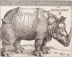 Rhinocerus von Albrecht Dürer; 1515; National Gallery of Art (Washington, D.C.)