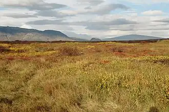 Zum Hrafnabjörg-System gehörige Berge Skjaldbreiður (Mitte) und Ármannsfell (links)