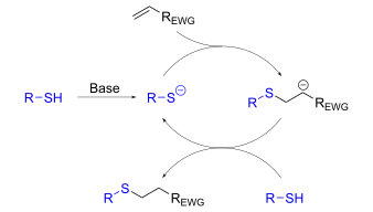 Ionische Thiol-En-Reaktionen verlaufen über die konjugierte Addition eines Thiolat-Anions an ein Olefin (EWG = electron-withdrawing group, eine elektronenziehende Gruppe).