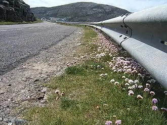 Blick auf den Ben Tangaval von nördlich des Isle of Barra Hotels
