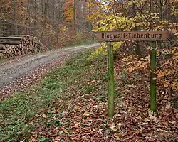 Hinweisschild zur Tiebenburg