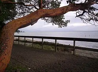 Die Tigh-Na-Mara Beachfront