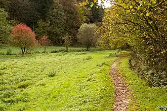 Der Ausläufer des Tals
