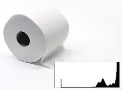 Foto mit sehr hellen Tonwerten (Histogramm rechts unten).