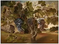 Weinrebe in einer Landschaft, um 1645 (?), Öl auf Leinwand, 67 × 90 cm, Prado, Madrid