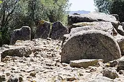 Kammerende von Su Monte de s’Ape