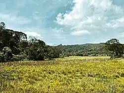 Landschaft in Mshewa