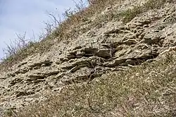 Tonmergelgestein am Schwanberg