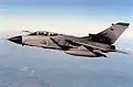 Panavia Tornado ECR