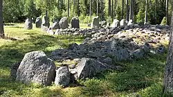 Der Treudd „Stora Drakarör“ mit dem Domarring im Hintergrund