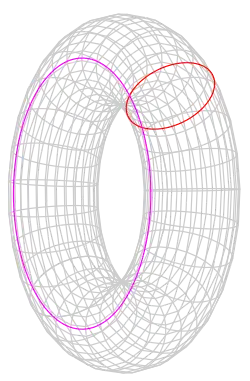 Veranschaulichung der Interaktion zweier Strings auf einem Torus