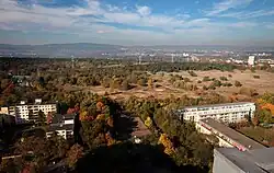 Naturschutzgebiet Mainzer Sand, ein Steppengebiet von europäischer Bedeutung, aufgenommen vom Hochhauskomplex Elsa