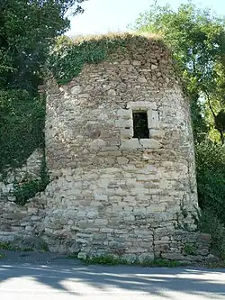 Burgruine