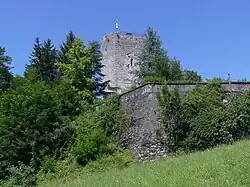 Burgruine Château de Grésy