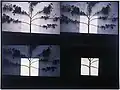 Light Photo Works Transitions Tree I 1976