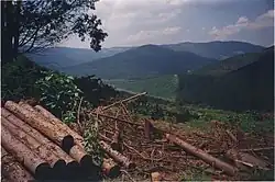 Landschaft bei Sabie