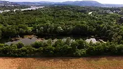 Naturschutzgebiet Kiesgrube bei Oberkirch