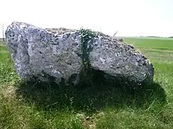 Dolmen du Bourg Neuf